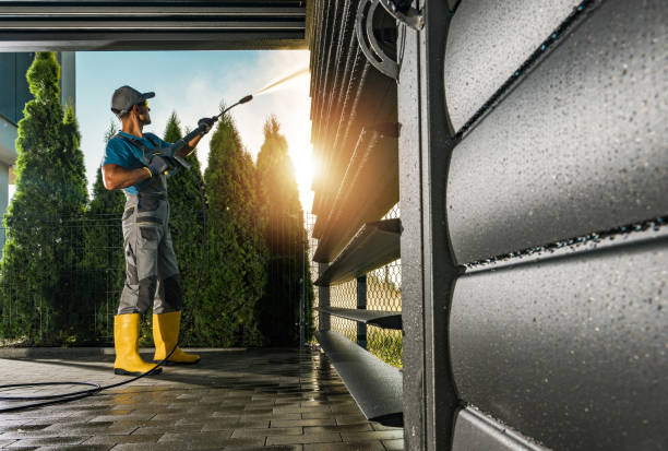 Best Solar Panel Cleaning  in Elk Plain, WA